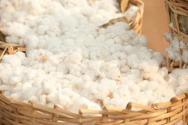 100% Organic Wool & Cotton 2000 Pocket Spring Hand Tufted Mattress