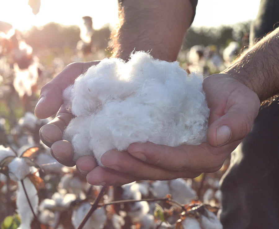 The Ultra 6000 Pocket Spring Organic Wool & Cotton Mattress