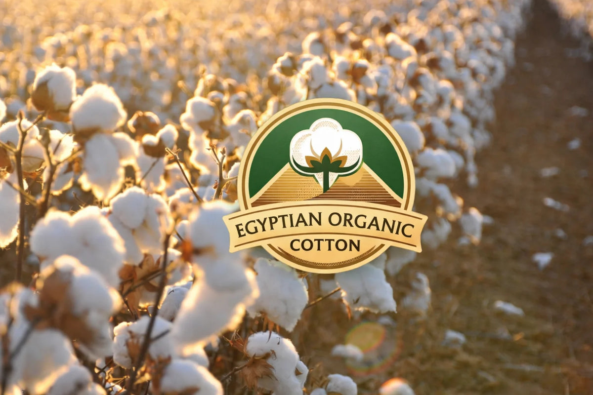 100% Organic Cotton & Organic Wool Ultra 6000 Air Suspension Pocket Spring  SOFT Mattress