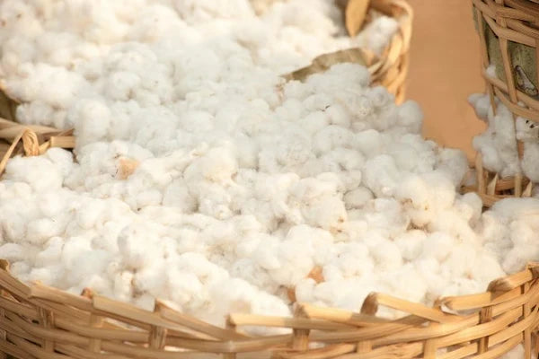 100% Organic Pillow Top 2000 Pocket Spring Egyptian Oganic Cotton & 1000 GSM Organic Wool